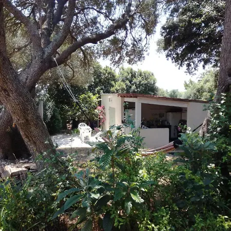 Bonifacio,studio Independant, Sous Les Oliviers Holiday home *