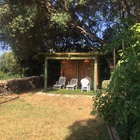 Bonifacio,studio Independant, Sous Les Oliviers Holiday home *