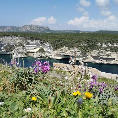 Semesterbostad Bonifacio,studio Independant, Sous Les Oliviers *