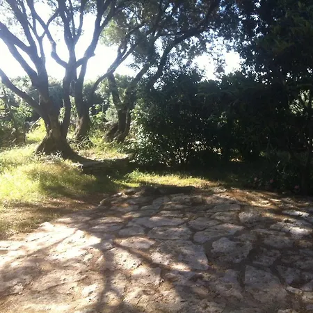 Holiday home Bonifacio,studio Independant, Sous Les Oliviers *