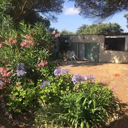 Bonifacio,studio Independant, Sous Les Oliviers Holiday home